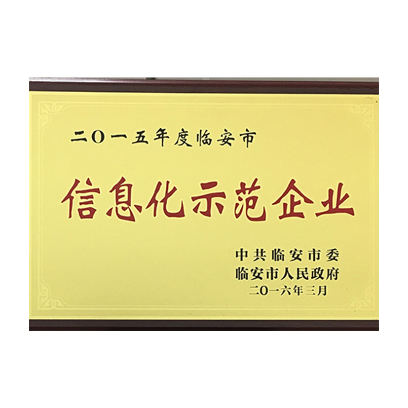 信息化示范企业