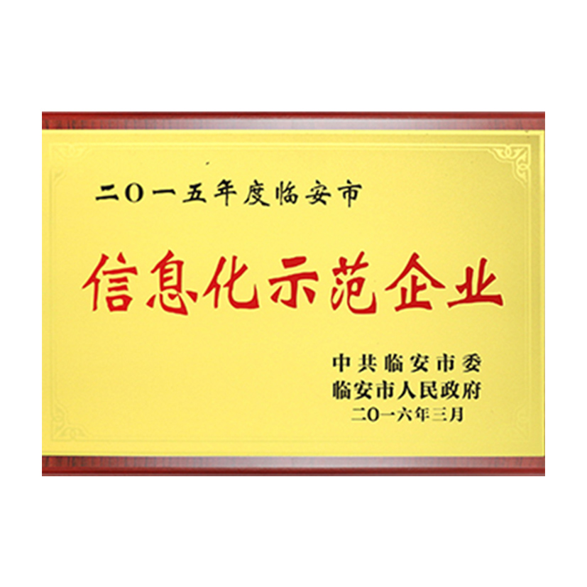 信息化示范企业